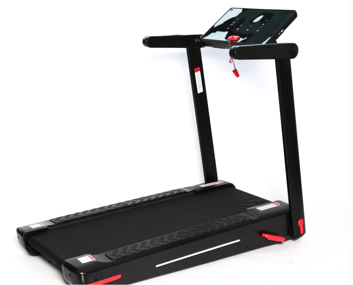 Cardio Exercise Treadmill TD001T-M5